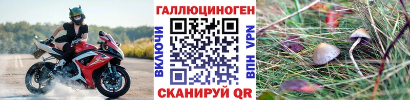 Галлюциногенные грибы прущие грибы  купить наркотики цена  Солнечногорск 